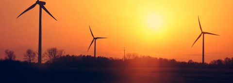 Entreprise spécialisée Entreprise spécialisée